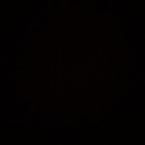 Meet your Posher, Jaidyn